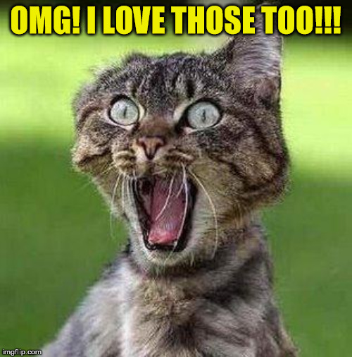 Shocked Cat | OMG! I LOVE THOSE TOO!!! | image tagged in shocked cat | made w/ Imgflip meme maker