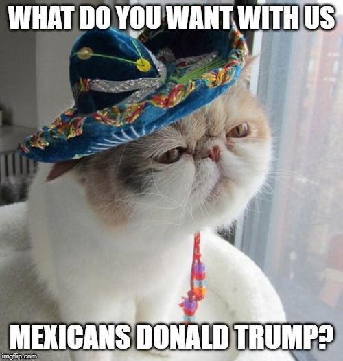 tacocat | WHAT DO YOU WANT WITH US; MEXICANS DONALD TRUMP? | image tagged in tacocat | made w/ Imgflip meme maker
