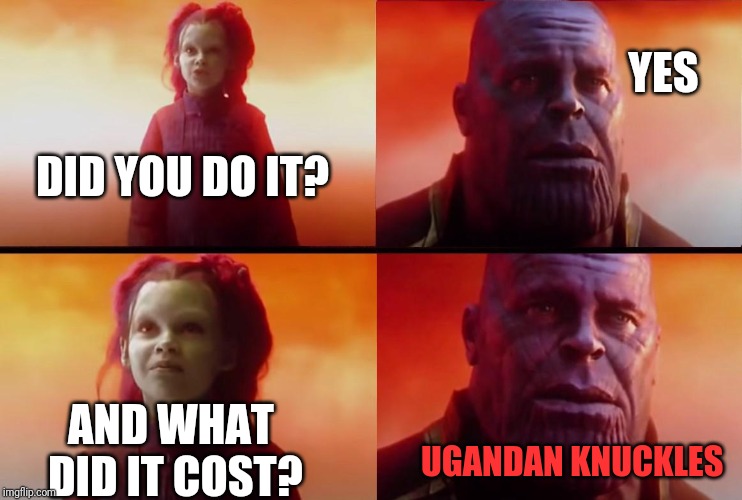 thanos what did it cost | YES; DID YOU DO IT? UGANDAN KNUCKLES; AND WHAT DID IT COST? | image tagged in thanos what did it cost | made w/ Imgflip meme maker