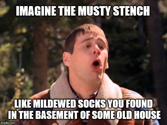 puke | IMAGINE THE MUSTY STENCH LIKE MILDEWED SOCKS YOU FOUND IN THE BASEMENT OF SOME OLD HOUSE | image tagged in puke | made w/ Imgflip meme maker