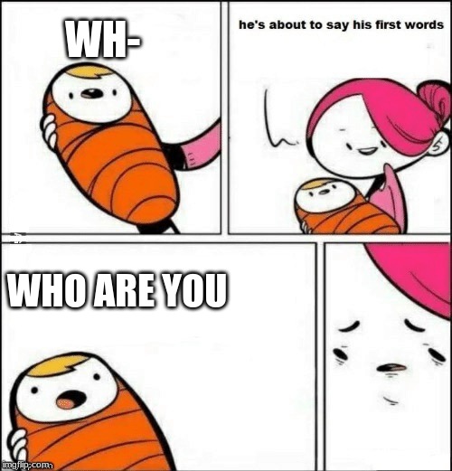 baby first words | WH-; WHO ARE YOU | image tagged in baby first words | made w/ Imgflip meme maker