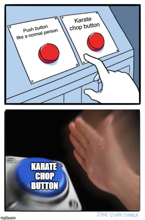 Two Buttons Meme | Karate chop button; Push button like a normal person; KARATE CHOP BUTTON | image tagged in memes,two buttons | made w/ Imgflip meme maker