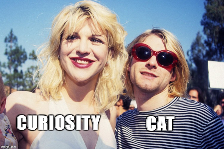 Curiosity killed the cat | CAT; CURIOSITY | image tagged in kurt cobain courtney love | made w/ Imgflip meme maker