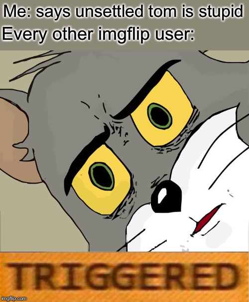 Unsettled Tom | Me: says unsettled tom is stupid; Every other imgflip user: | image tagged in memes,unsettled tom | made w/ Imgflip meme maker