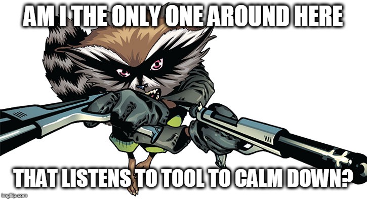 rough day today | AM I THE ONLY ONE AROUND HERE; THAT LISTENS TO TOOL TO CALM DOWN? | image tagged in tool,rock music,raccoon | made w/ Imgflip meme maker