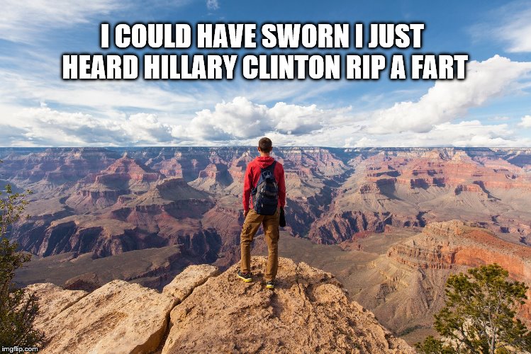 echo chamber | I COULD HAVE SWORN I JUST HEARD HILLARY CLINTON RIP A FART | image tagged in echo chamber | made w/ Imgflip meme maker