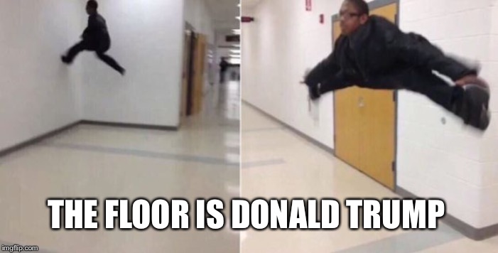 The floor is | THE FLOOR IS DONALD TRUMP | image tagged in the floor is | made w/ Imgflip meme maker