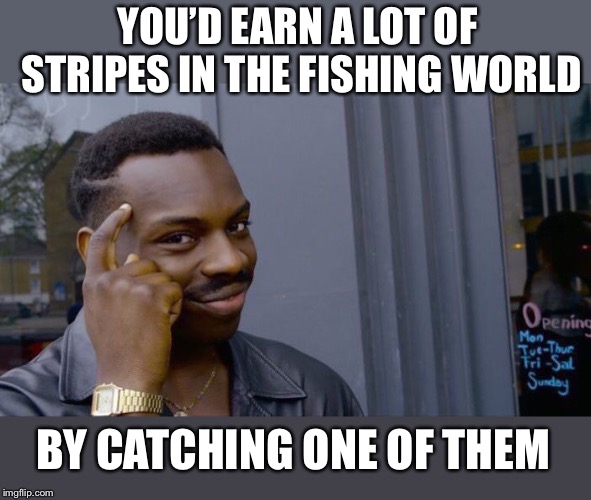 Roll Safe Think About It Meme | YOU’D EARN A LOT OF STRIPES IN THE FISHING WORLD BY CATCHING ONE OF THEM | image tagged in memes,roll safe think about it | made w/ Imgflip meme maker