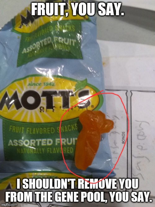 Carrot in a Mott's | FRUIT, YOU SAY. I SHOULDN'T REMOVE YOU FROM THE GENE POOL, YOU SAY. | image tagged in fruit you say | made w/ Imgflip meme maker