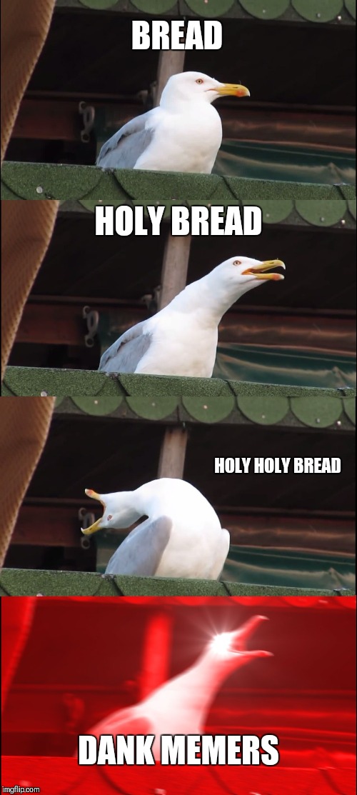 Inhaling Seagull | BREAD; HOLY BREAD; HOLY HOLY BREAD; DANK MEMERS | image tagged in memes,inhaling seagull | made w/ Imgflip meme maker