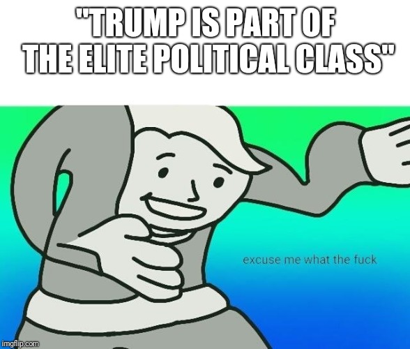 Excuse me, what the fuck | "TRUMP IS PART OF THE ELITE POLITICAL CLASS" | image tagged in excuse me what the fuck | made w/ Imgflip meme maker