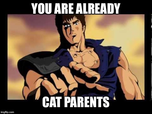 You are already dead | YOU ARE ALREADY; CAT PARENTS | image tagged in you are already dead | made w/ Imgflip meme maker