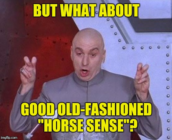 Dr Evil Laser Meme | BUT WHAT ABOUT GOOD OLD-FASHIONED "HORSE SENSE"? | image tagged in memes,dr evil laser | made w/ Imgflip meme maker