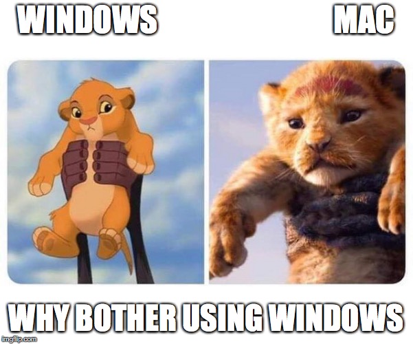 why Mac is 10x better then windows | WINDOWS                             MAC; WHY BOTHER USING WINDOWS | image tagged in lion king,mac vs windows | made w/ Imgflip meme maker