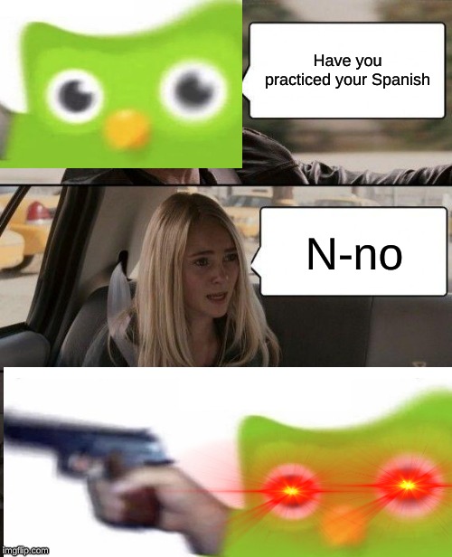 Duolingo Driving | Have you practiced your Spanish; N-no | image tagged in memes | made w/ Imgflip meme maker