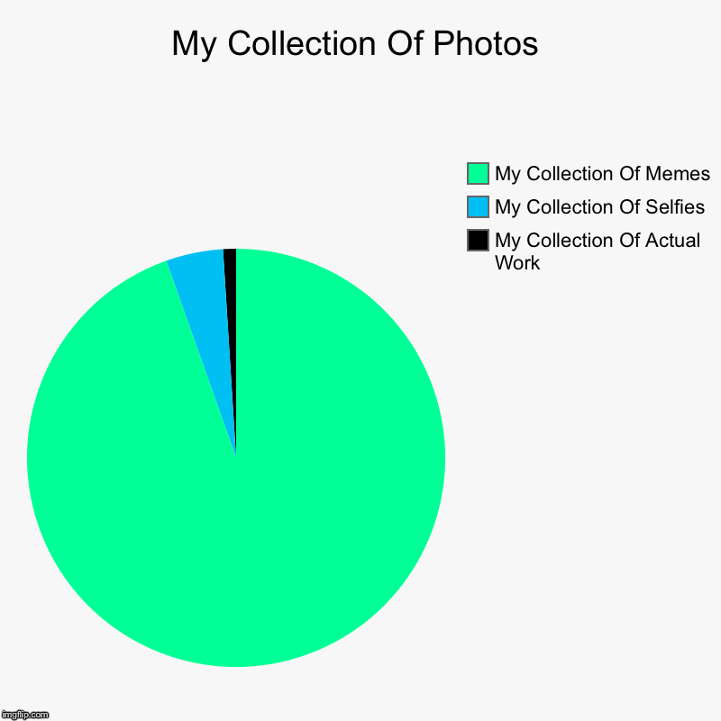 My Collection Of Photos | My Collection Of Actual Work, My Collection Of Selfies, My Collection Of Memes | image tagged in charts,pie charts | made w/ Imgflip chart maker