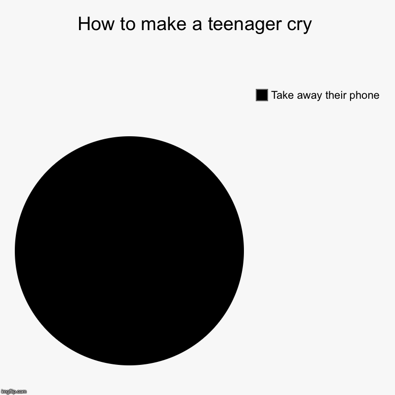 I hate when this happens... | How to make a teenager cry | Take away their phone | image tagged in charts,pie charts | made w/ Imgflip chart maker