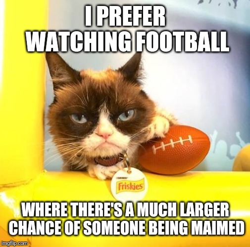 Grumpy Cat Football | I PREFER WATCHING FOOTBALL WHERE THERE'S A MUCH LARGER CHANCE OF SOMEONE BEING MAIMED | image tagged in grumpy cat football | made w/ Imgflip meme maker