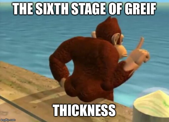 donkey kong butt | THE SIXTH STAGE OF GREIF; THICKNESS | image tagged in donkey kong butt | made w/ Imgflip meme maker