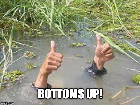 underWater | BOTTOMS UP! | image tagged in underwater | made w/ Imgflip meme maker