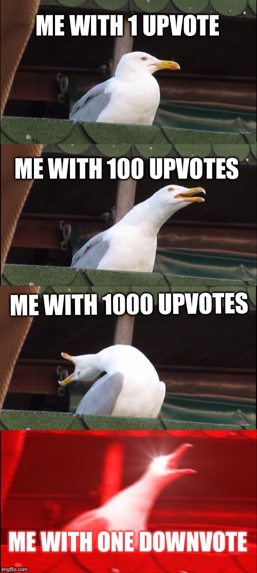 Inhaling Seagull | ME WITH 1 UPVOTE; ME WITH 100 UPVOTES; ME WITH 1000 UPVOTES; ME WITH ONE DOWNVOTE | image tagged in memes,inhaling seagull | made w/ Imgflip meme maker