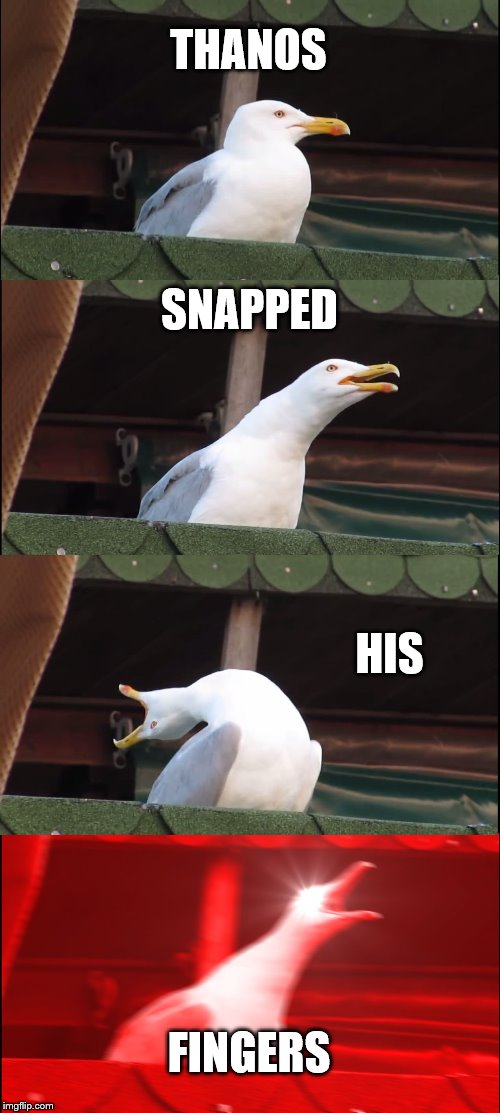 Inhaling Seagull | THANOS; SNAPPED; HIS; FINGERS | image tagged in memes,inhaling seagull | made w/ Imgflip meme maker