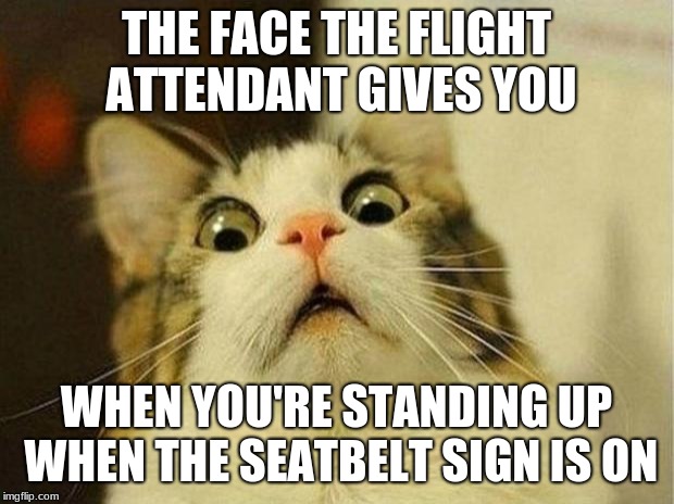 Scared Cat Meme | THE FACE THE FLIGHT ATTENDANT GIVES YOU; WHEN YOU'RE STANDING UP WHEN THE SEATBELT SIGN IS ON | image tagged in memes,scared cat | made w/ Imgflip meme maker