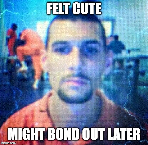 FELT CUTE; MIGHT BOND OUT LATER | image tagged in funny | made w/ Imgflip meme maker