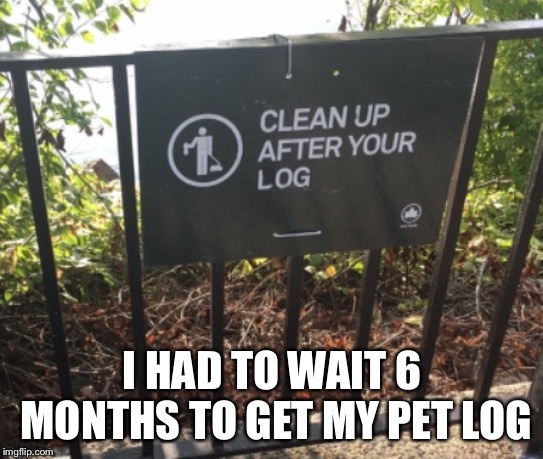 I HAD TO WAIT 6 MONTHS TO GET MY PET LOG | made w/ Imgflip meme maker