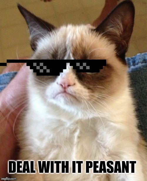 Grumpy Cat Meme | DEAL WITH IT PEASANT | image tagged in memes,grumpy cat | made w/ Imgflip meme maker