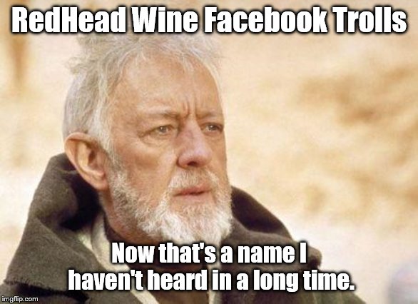 Now that's a name I haven't heard since...  |  RedHead Wine Facebook Trolls; Now that's a name I haven't heard in a long time. | image tagged in now that's a name i haven't heard since | made w/ Imgflip meme maker
