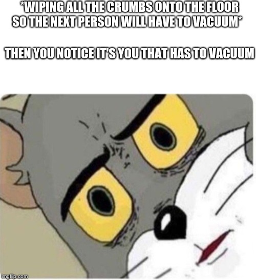 Tom and Jerry meme |  *WIPING ALL THE CRUMBS ONTO THE FLOOR SO THE NEXT PERSON WILL HAVE TO VACUUM*; THEN YOU NOTICE IT'S YOU THAT HAS TO VACUUM | image tagged in tom and jerry meme | made w/ Imgflip meme maker