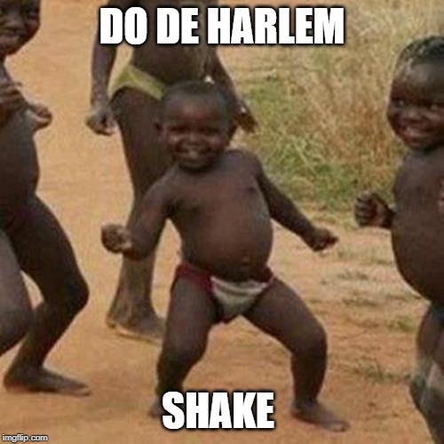 Third World Success Kid | DO DE HARLEM; SHAKE | image tagged in memes,third world success kid | made w/ Imgflip meme maker