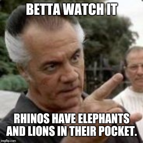 Watch it! | BETTA WATCH IT RHINOS HAVE ELEPHANTS AND LIONS IN THEIR POCKET. | image tagged in watch it | made w/ Imgflip meme maker
