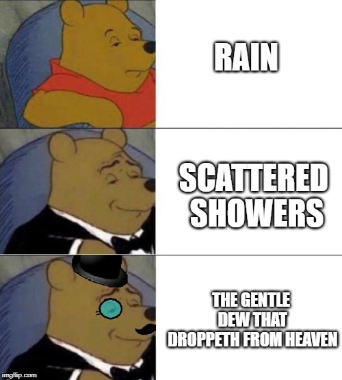 Winnie the pooh meme | RAIN; SCATTERED SHOWERS; THE GENTLE DEW THAT DROPPETH FROM HEAVEN | image tagged in winnie the pooh meme | made w/ Imgflip meme maker