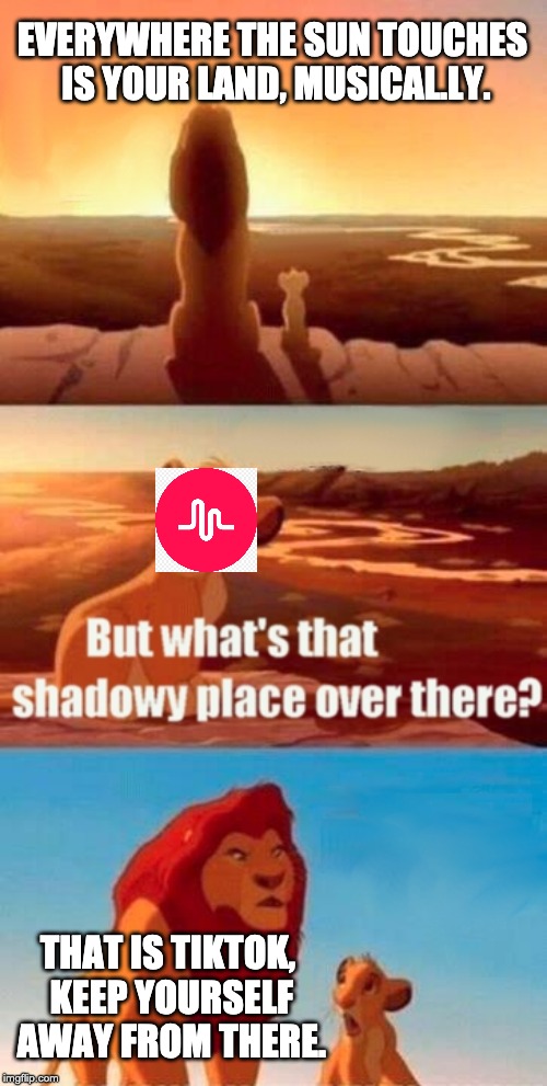 Simba Shadowy Place Meme | EVERYWHERE THE SUN TOUCHES IS YOUR LAND, MUSICAL.LY. THAT IS TIKTOK, KEEP YOURSELF AWAY FROM THERE. | image tagged in memes,simba shadowy place | made w/ Imgflip meme maker