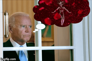 BidenInAmericanBeauty | image tagged in gifs | made w/ Imgflip video-to-gif maker