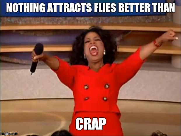 Oprah You Get A Meme | NOTHING ATTRACTS FLIES BETTER THAN CRAP | image tagged in memes,oprah you get a | made w/ Imgflip meme maker