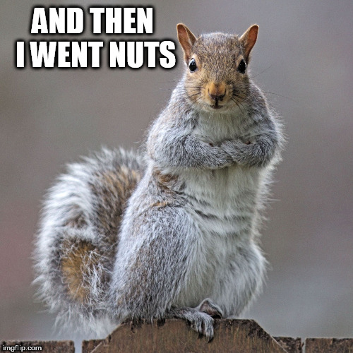 squirrel of judgement | AND THEN I WENT NUTS | image tagged in squirrel of judgement | made w/ Imgflip meme maker