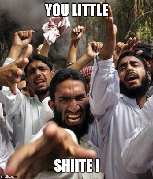 angry muslim | YOU LITTLE SHIITE ! | image tagged in angry muslim | made w/ Imgflip meme maker