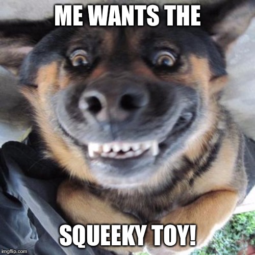 ME WANTS THE SQUEEKY TOY! | made w/ Imgflip meme maker