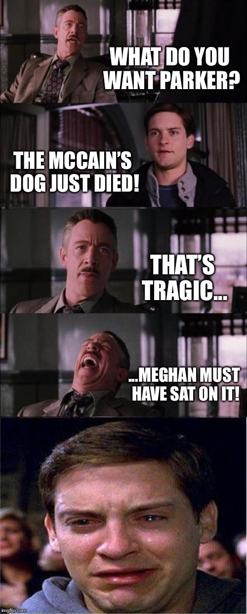 Peter Parker Cry | WHAT DO YOU WANT PARKER? THE MCCAIN’S DOG JUST DIED! THAT’S TRAGIC... ...MEGHAN MUST HAVE SAT ON IT! | image tagged in memes,peter parker cry | made w/ Imgflip meme maker
