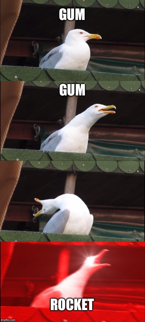 Seagull Luffy | GUM; GUM; ROCKET | image tagged in memes,inhaling seagull,onepiece | made w/ Imgflip meme maker