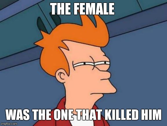 Futurama Fry Meme | THE FEMALE WAS THE ONE THAT KILLED HIM | image tagged in memes,futurama fry | made w/ Imgflip meme maker