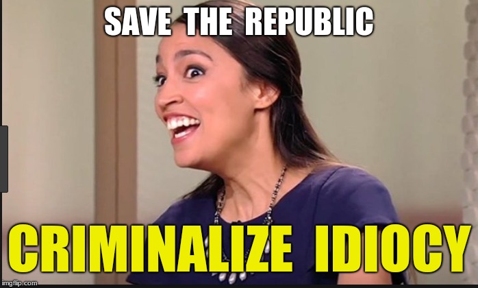 SAVE  THE  REPUBLIC; CRIMINALIZE  IDIOCY | image tagged in aoc,criminal idiocy | made w/ Imgflip meme maker
