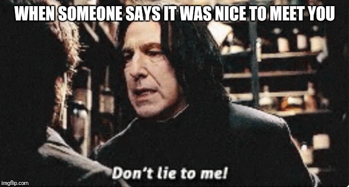 WHEN SOMEONE SAYS IT WAS NICE TO MEET YOU | image tagged in don't lie to me | made w/ Imgflip meme maker