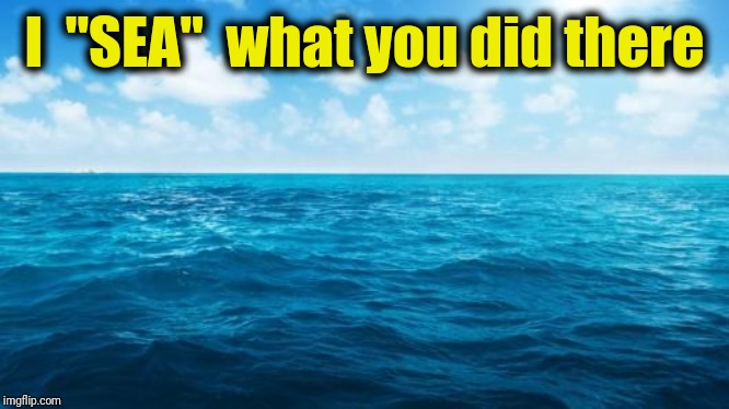 Ocean | I  "SEA"  what you did there | image tagged in ocean | made w/ Imgflip meme maker