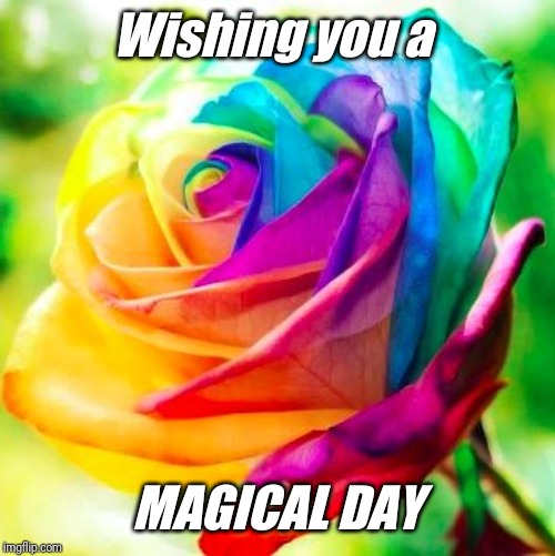 Rainbow Flower | Wishing you a; MAGICAL DAY | image tagged in rainbow flower | made w/ Imgflip meme maker