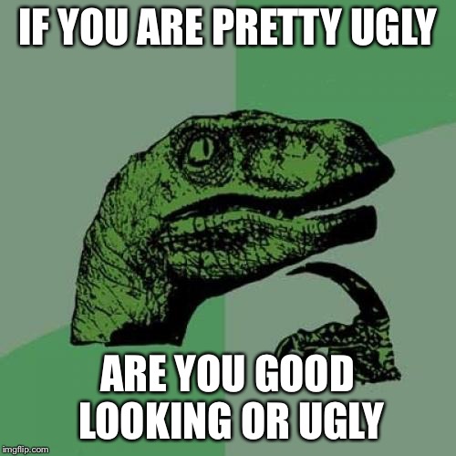Oxymorons | IF YOU ARE PRETTY UGLY; ARE YOU GOOD LOOKING OR UGLY | image tagged in memes,philosoraptor | made w/ Imgflip meme maker