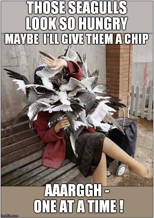Fun at the Seaside | THOSE SEAGULLS LOOK SO HUNGRY; MAYBE  I'LL GIVE THEM A CHIP; AAARGGH - ONE AT A TIME ! | image tagged in fun,birds | made w/ Imgflip meme maker